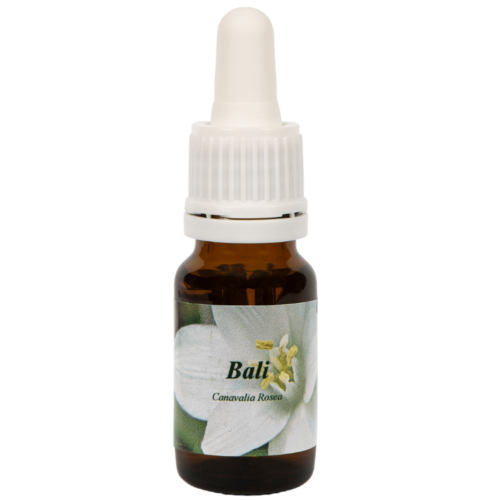 Bali - Star Remedies Rimedi floreali