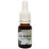 Yellow Mayflower - Star Remedies Flower Remedies