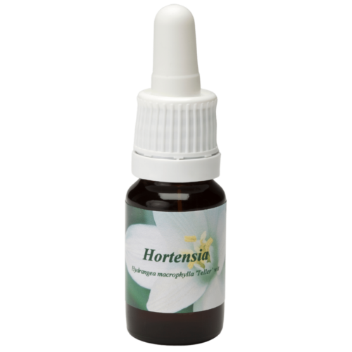 Hortensie - Star Remedies Flower Remedies