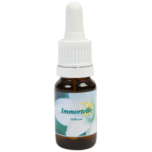 Immortelle - Star Remedies Flower Remedies