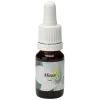 Moon - Star Remedies Flower Remedies