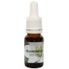 Meesterbloem (Bindii) - Star Remedies Flower Remedies