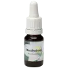 Feverfew - Star Remedies Flower Remedies