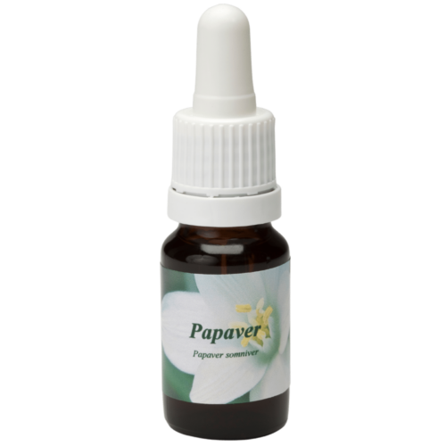 Papavero - Fiore di Star Remedies