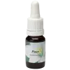 Pure - Star Remedies Flower Remedies