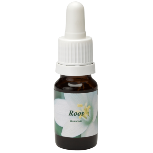 Rosa - Remedios Florales Star Remedies