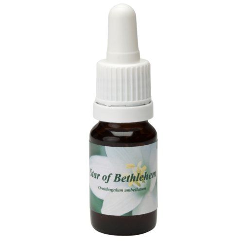 Star of Bethlehem - Star Remedies Flower Remedies