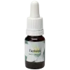 Turquoise - Star Remedies Flower Remedies