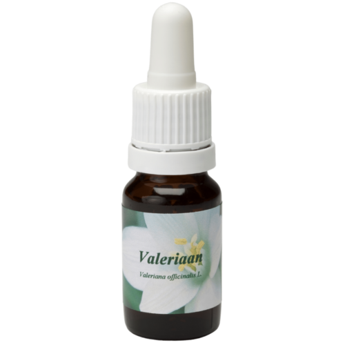 Valerian - Star Remedies Flower Remedies