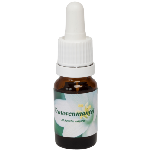 Frauenmantel - Star Remedies Flower Remedies